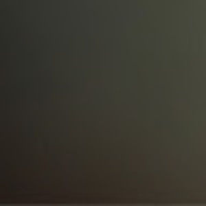 Meet your Posher, Jaylen